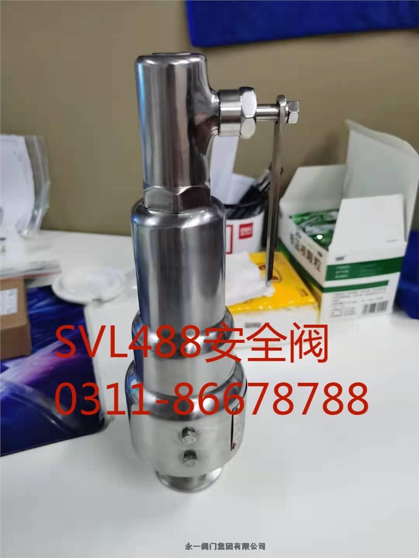 中國永一閥門集團先導式安全閥A46F-25CDN50新疆