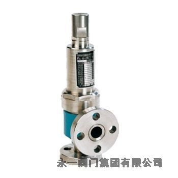 永一衛生級安全閥昌都價格